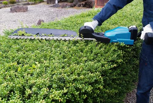 ���_�E�A���݊���