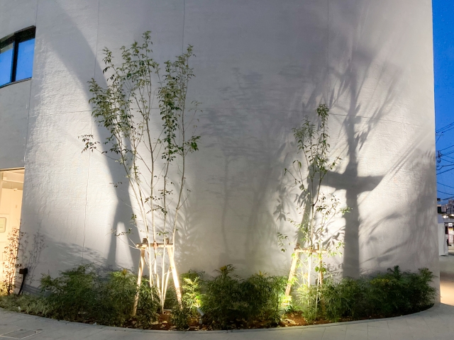 庭木伐採 庭木伐採